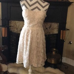 Chelsea & Violet sweetheart dress NWT